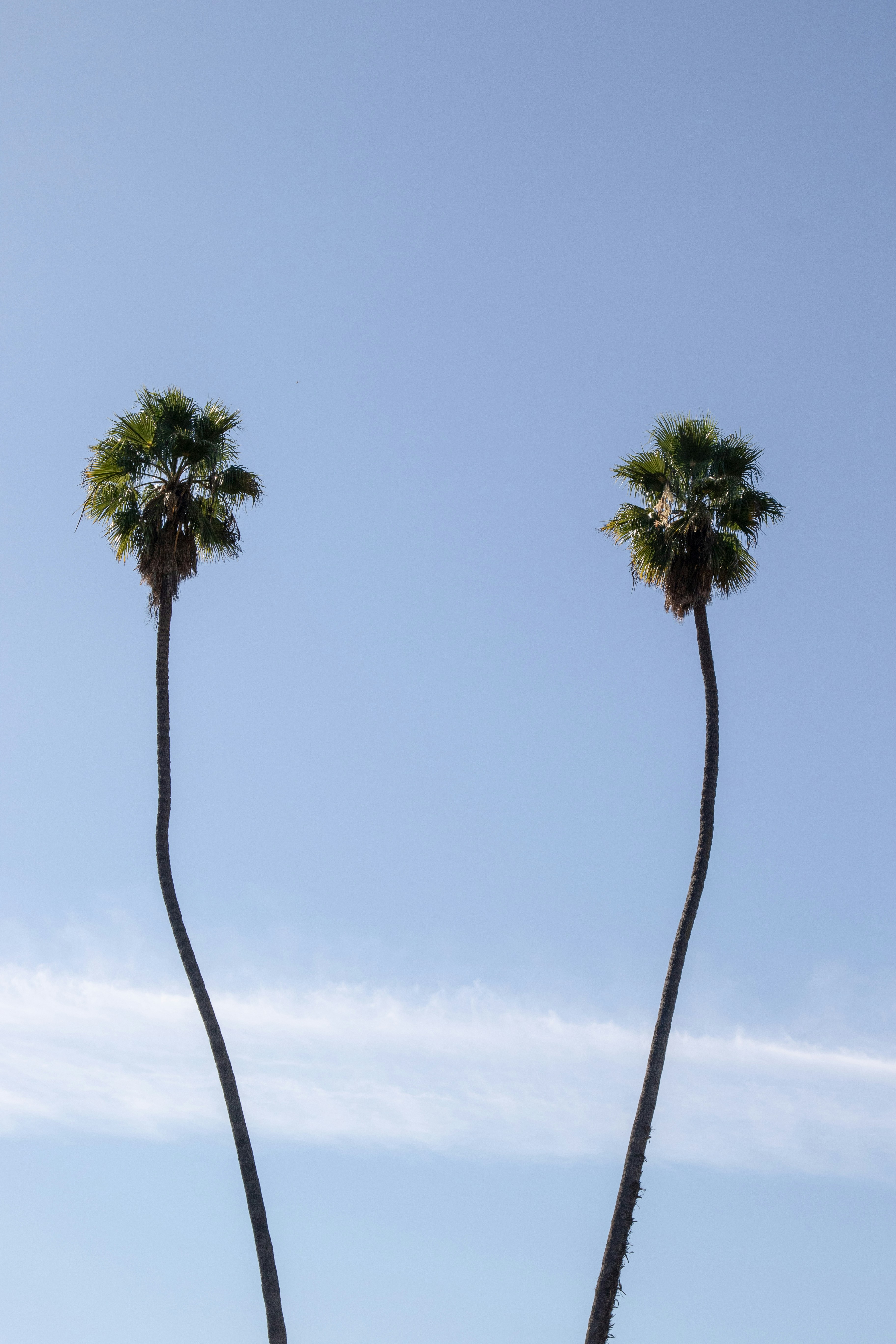 Photo by colt10jordan