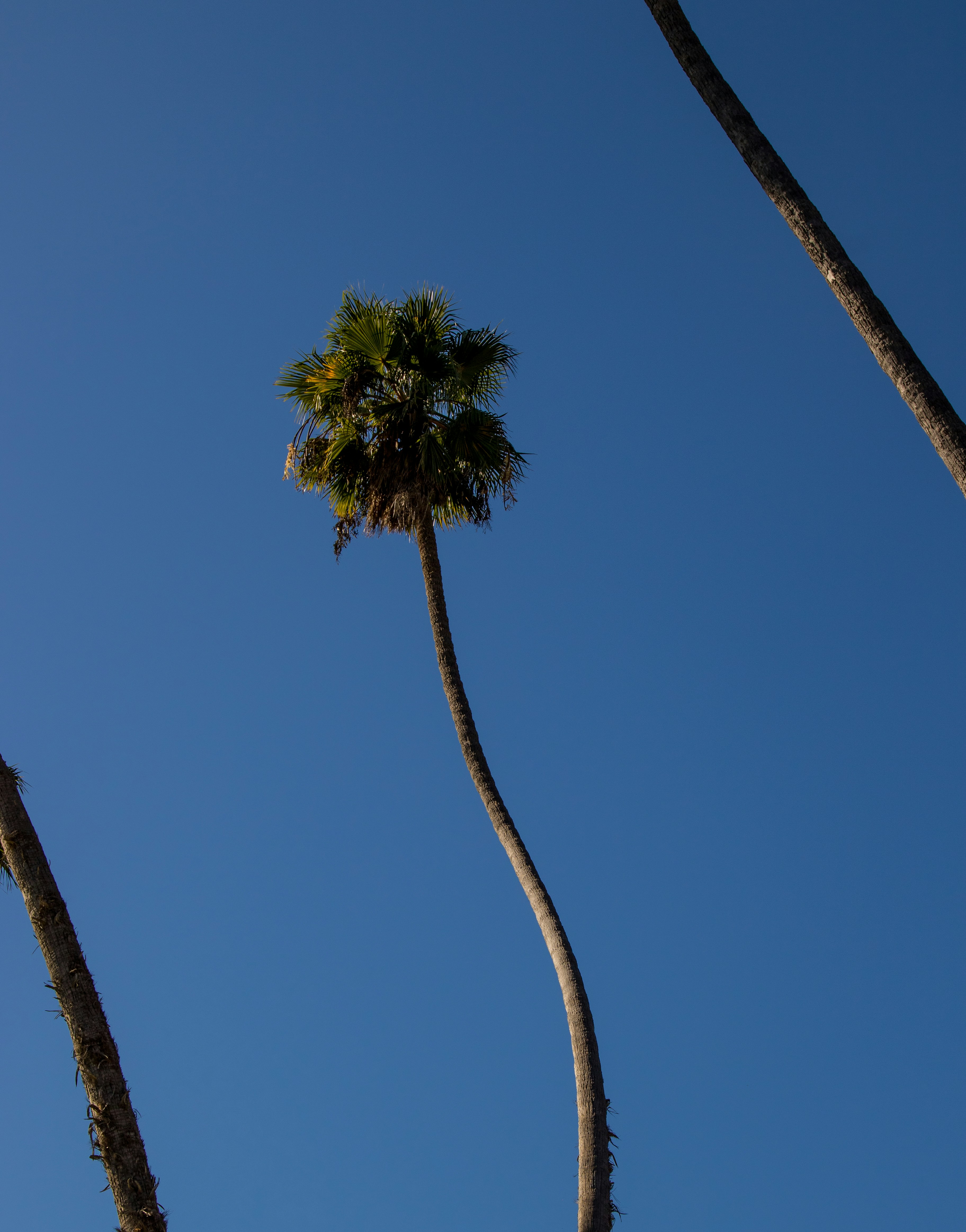 Photo by colt10jordan