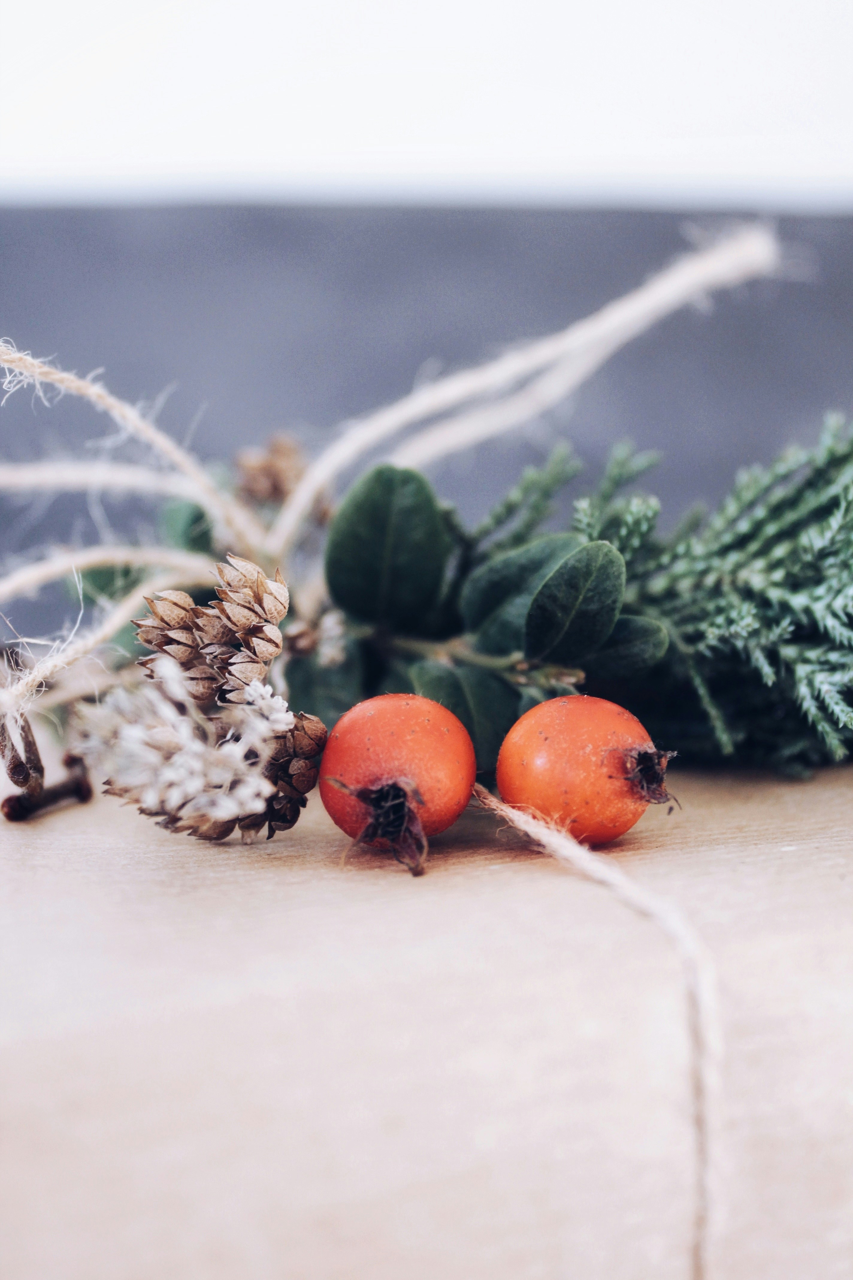 Photo by anna_meshkov