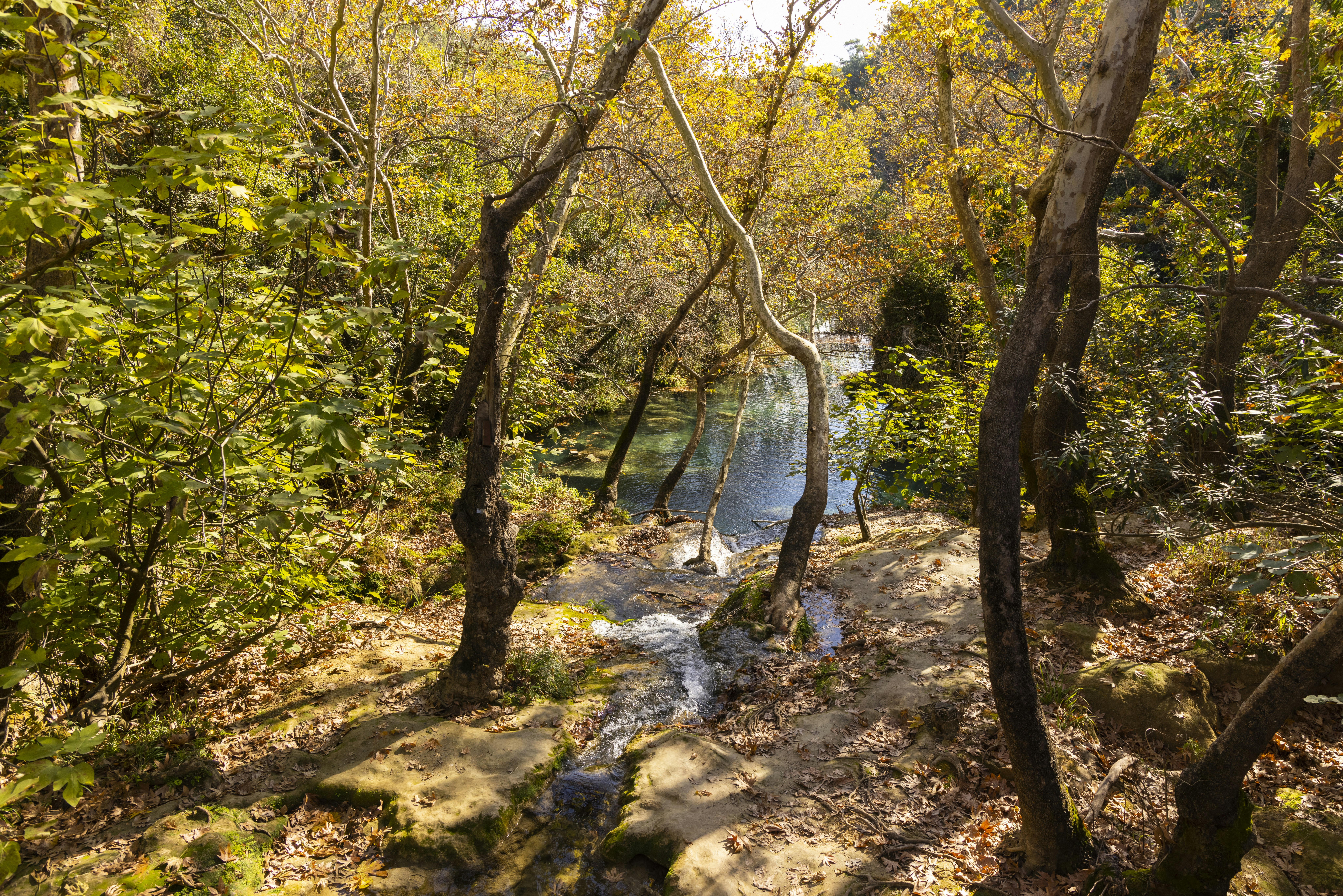 Photo by enginakyurt