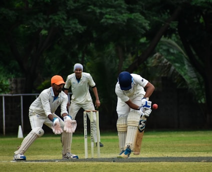cricket, politics, South, Asia, money, media, glamour, 