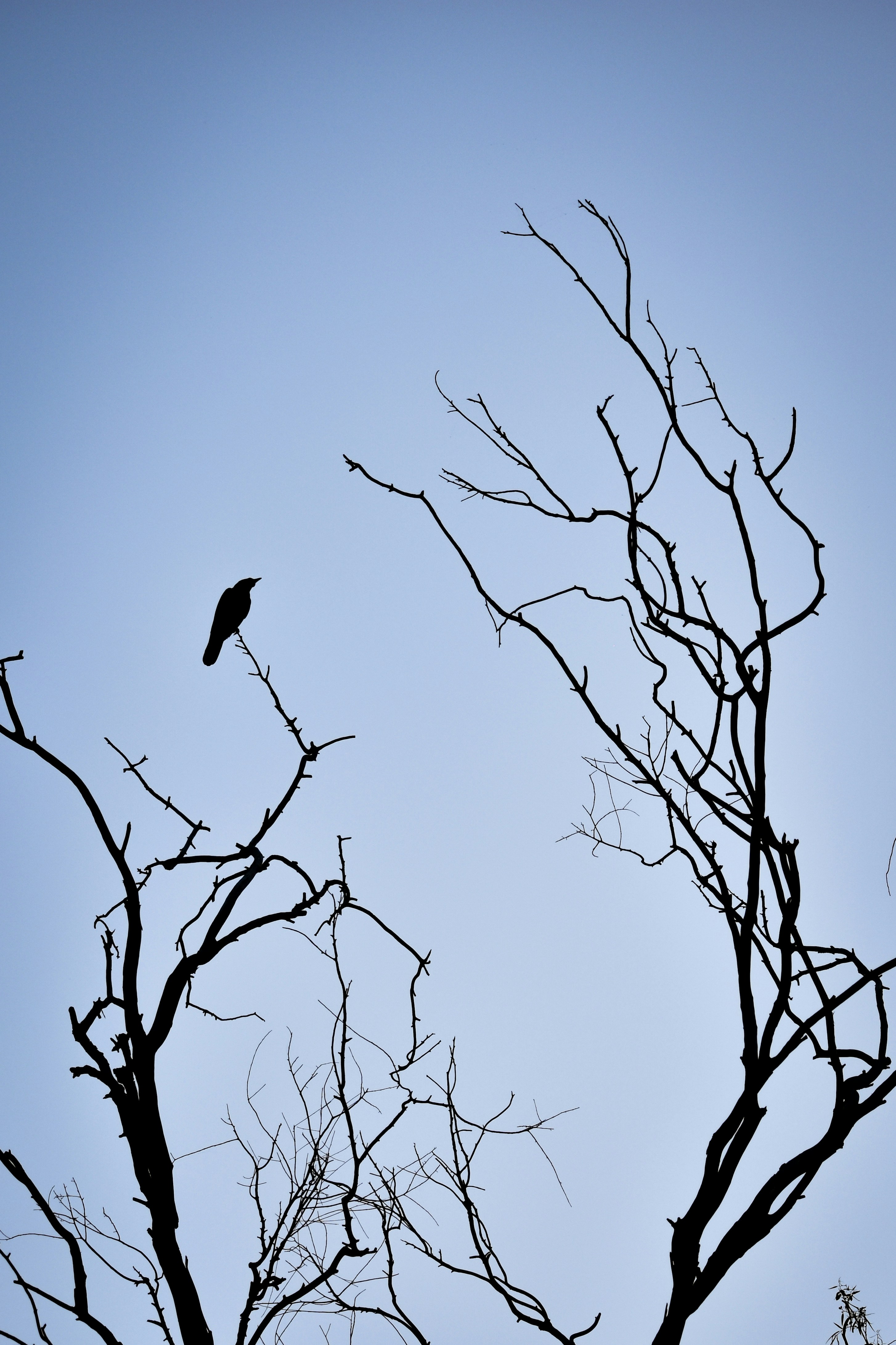 Photo by sagarkulkarni