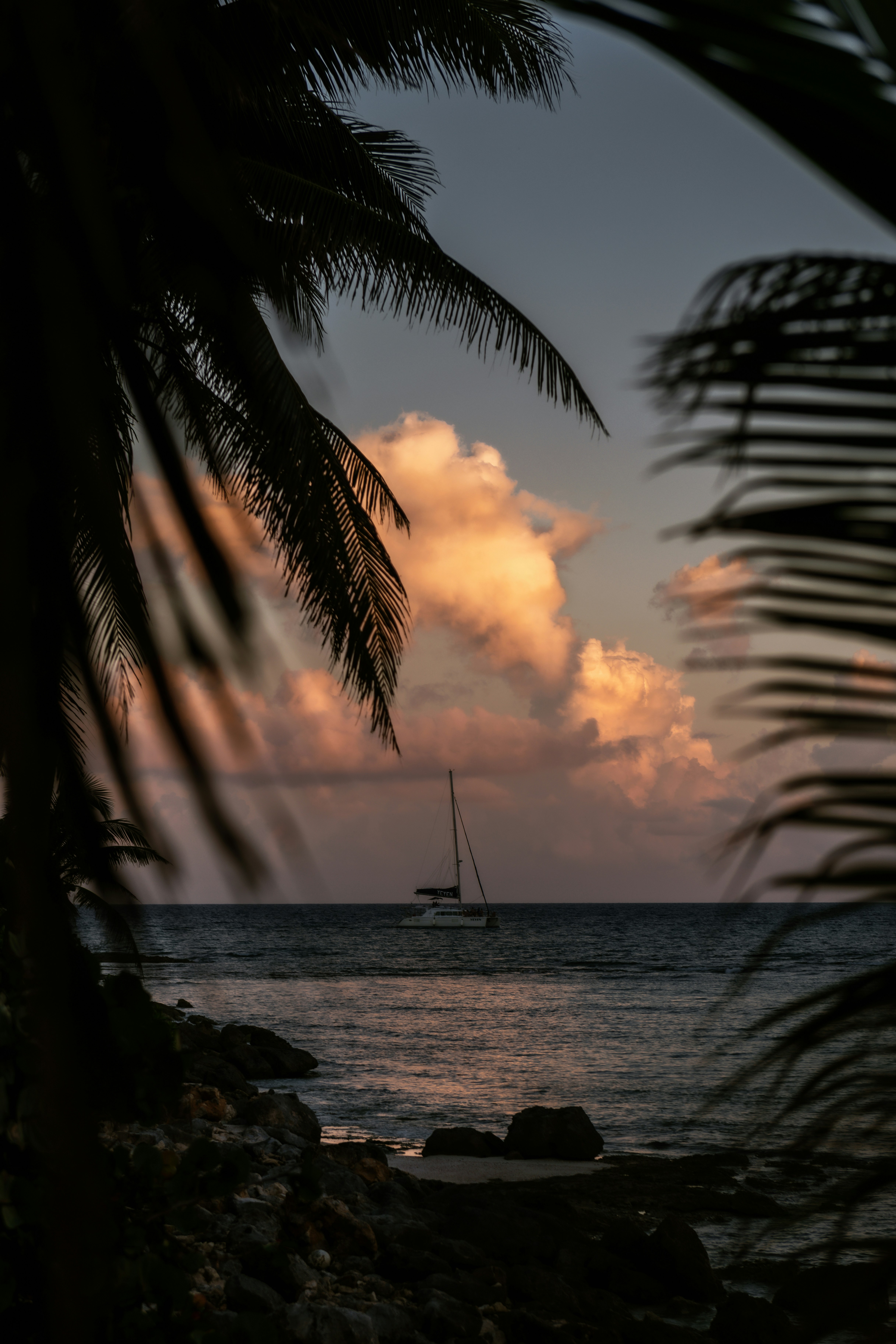 Photo by timmossholder