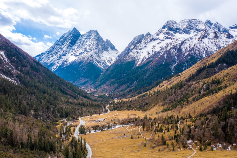 green trees and mountains during daytime