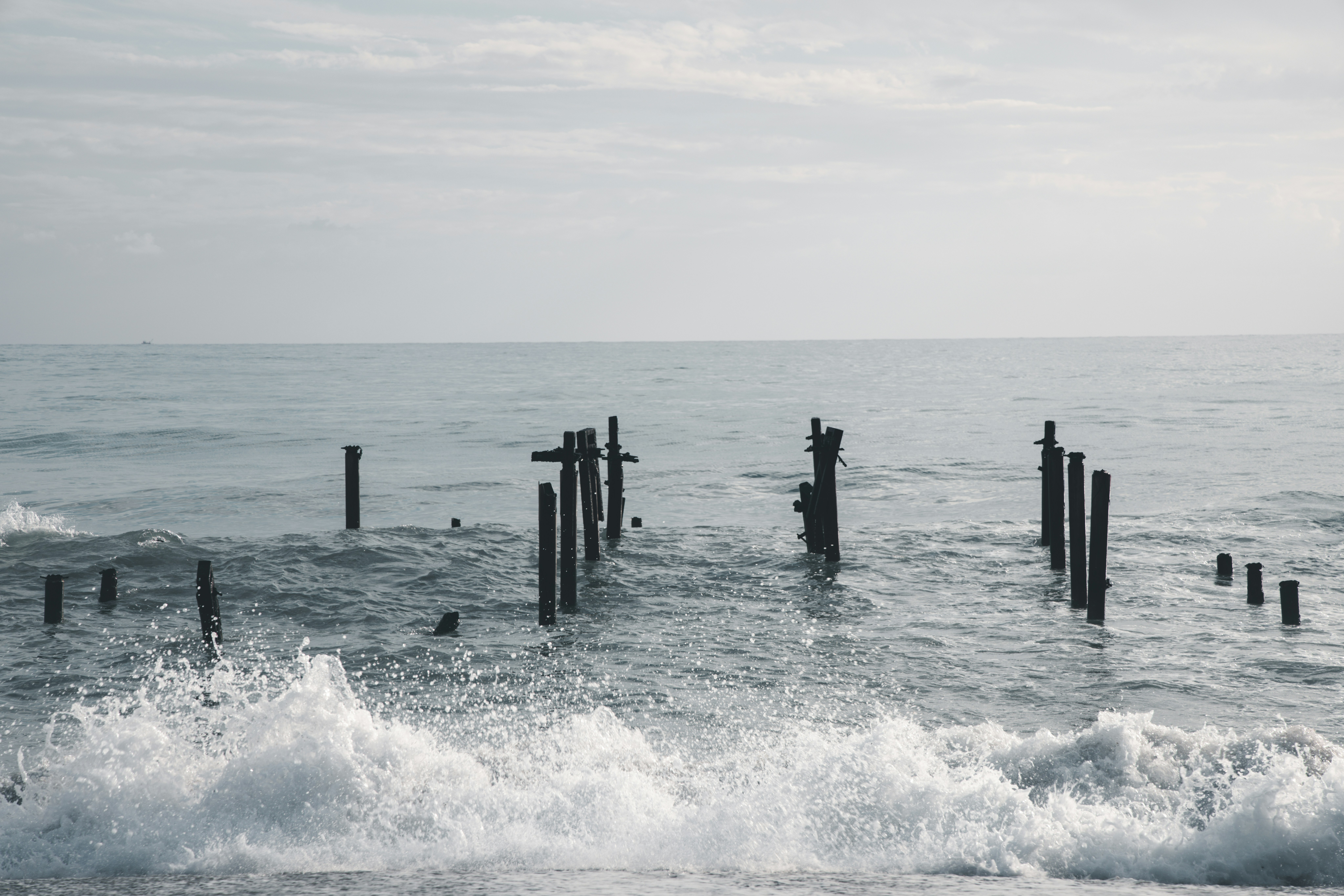 Photo by enginakyurt