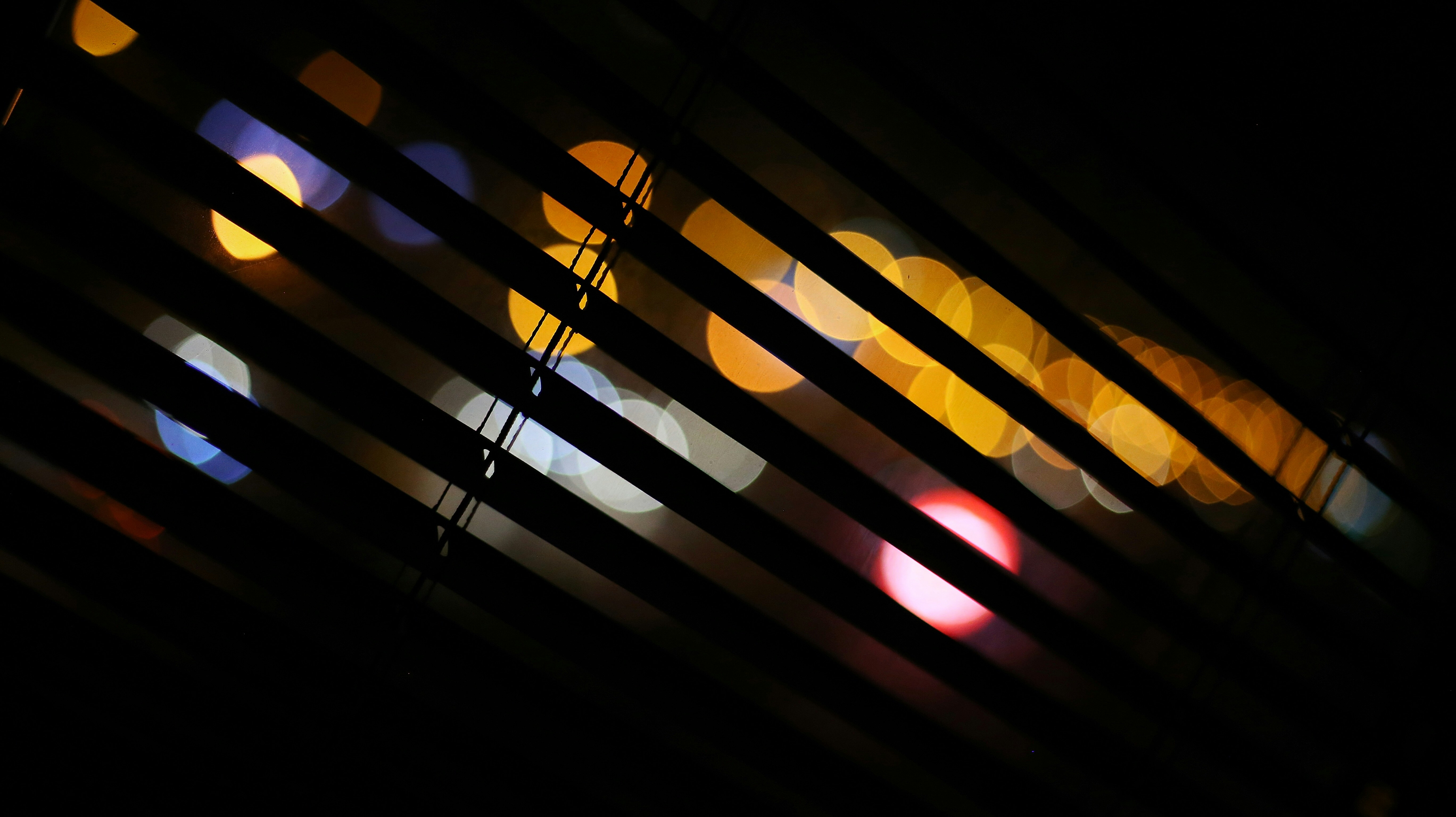 Maker Club - S2 Week 10 post image