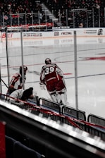 Two ice hockey players in red and white uniforms are on the rink near the boards. The number 39 is visible on the back of one player's jersey. The audience can be seen in the background, with some individuals in the stands. The arena has glass barriers surrounding the ice, and there are advertisements displayed around the rink.