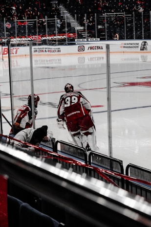 Two ice hockey players in red and white uniforms are on the rink near the boards. The number 39 is visible on the back of one player's jersey. The audience can be seen in the background, with some individuals in the stands. The arena has glass barriers surrounding the ice, and there are advertisements displayed around the rink.