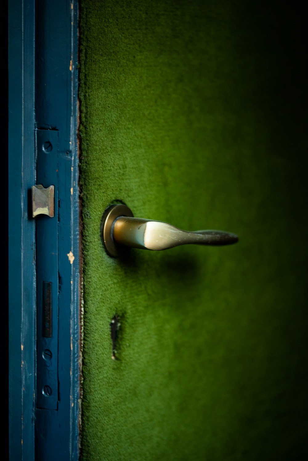 black door lever on green wooden door