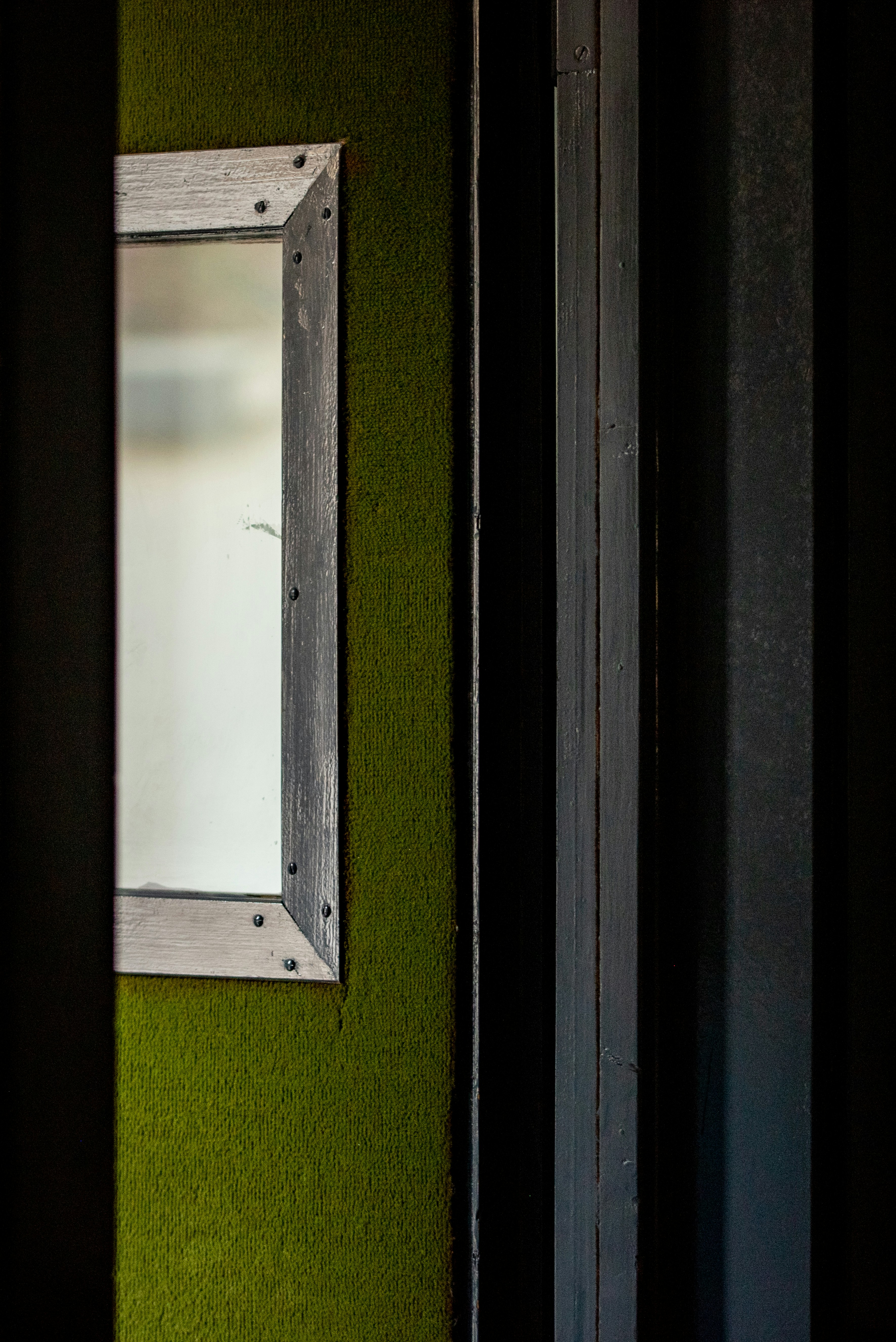 Photo by lauraadaiphoto