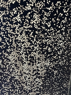 Creative special effect ceiling with a starry night sky design using tensioned fabric.