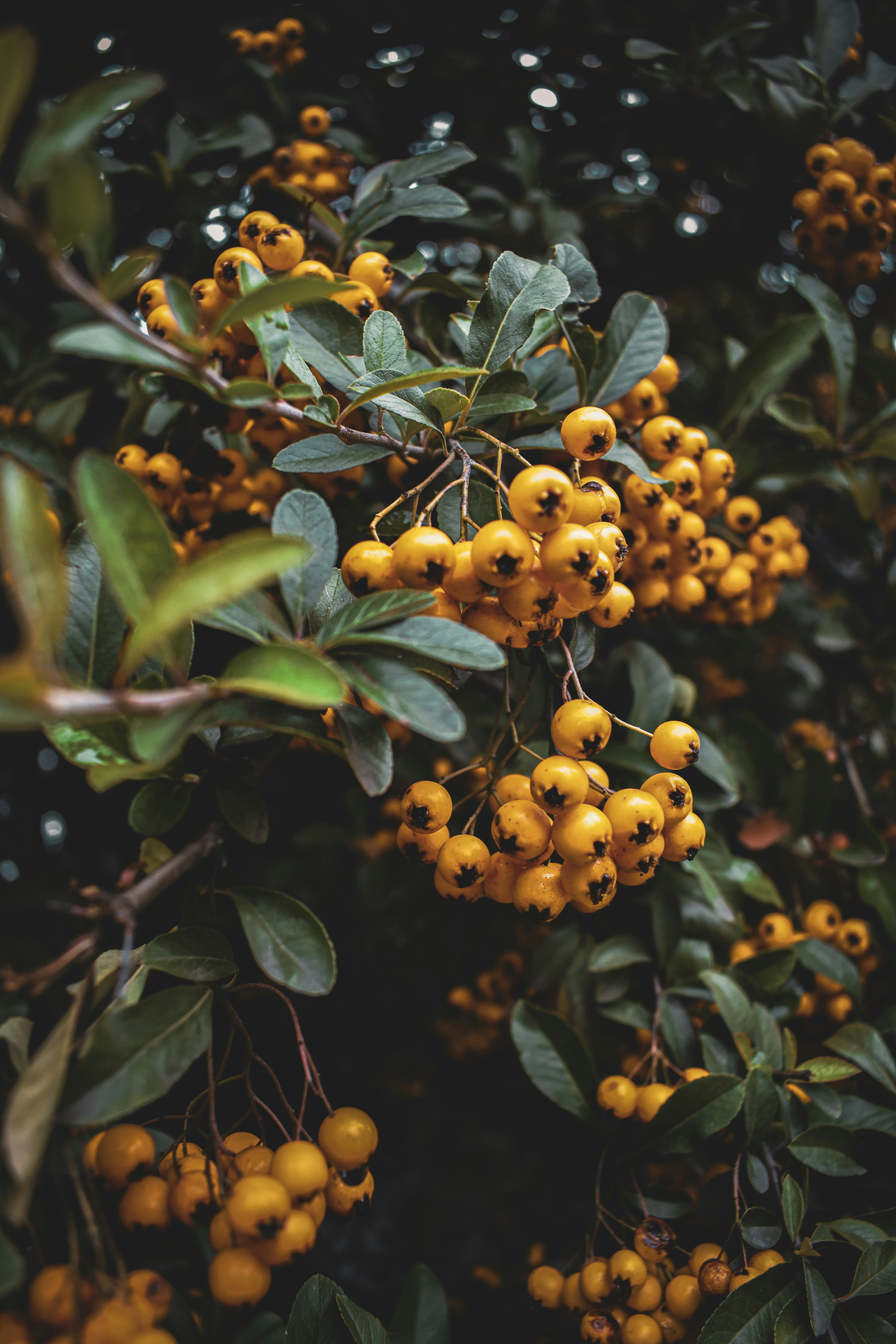 Photo by jovanamladenovic