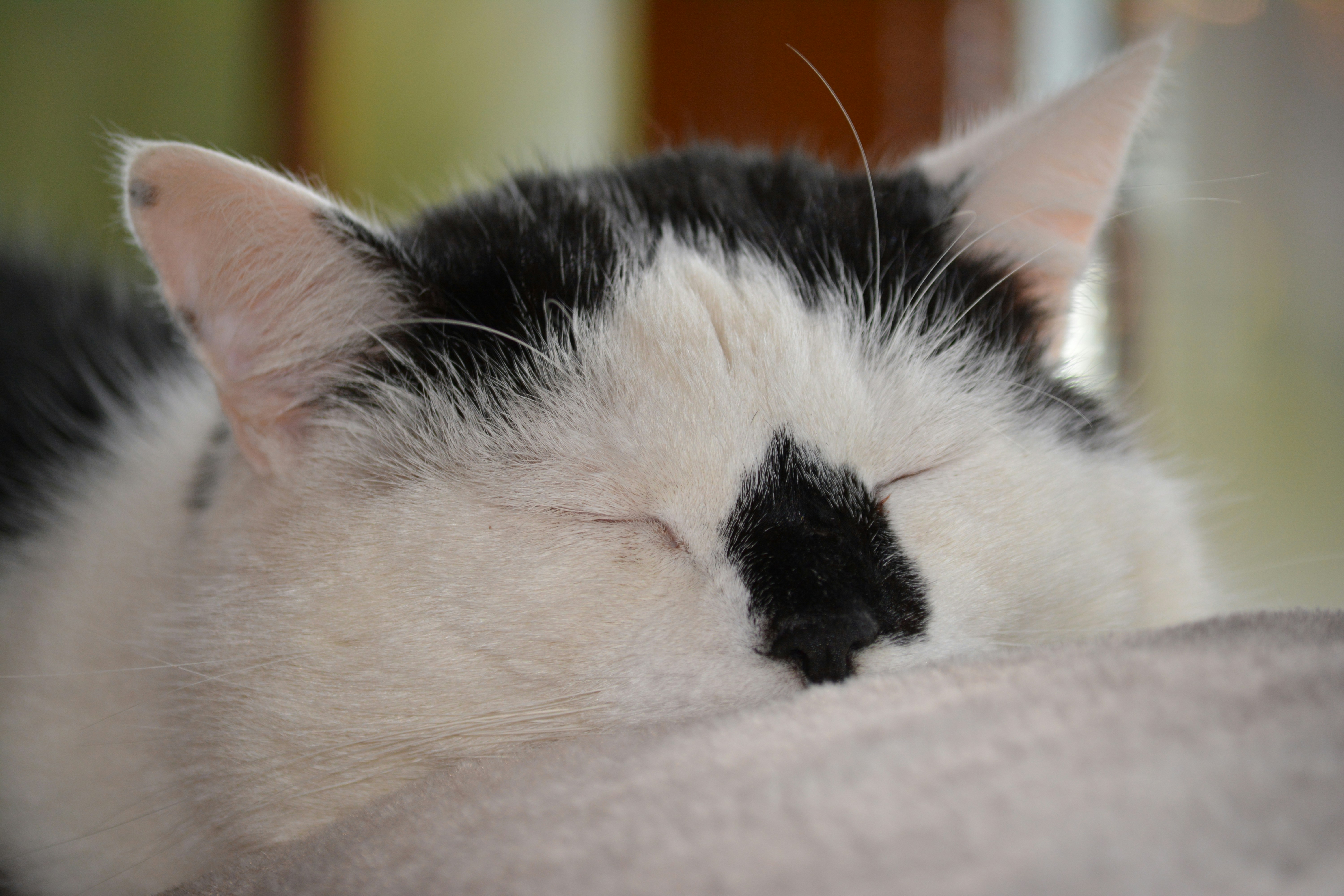 Photo by natashaguryanova