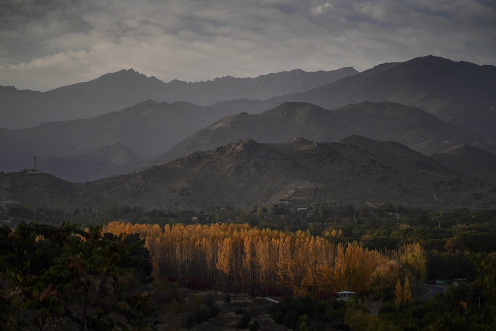 green trees near mountain under cloudy sky during daytime