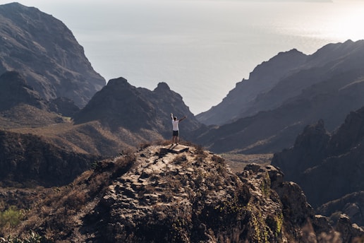 A solitary person stands triumphantly on a rugged mountain peak, arms raised against a backdrop of dramatic, shadowed cliffs and the distant, shimmering sea. The landscape is vast and majestic, capturing a sense of freedom and achievement.