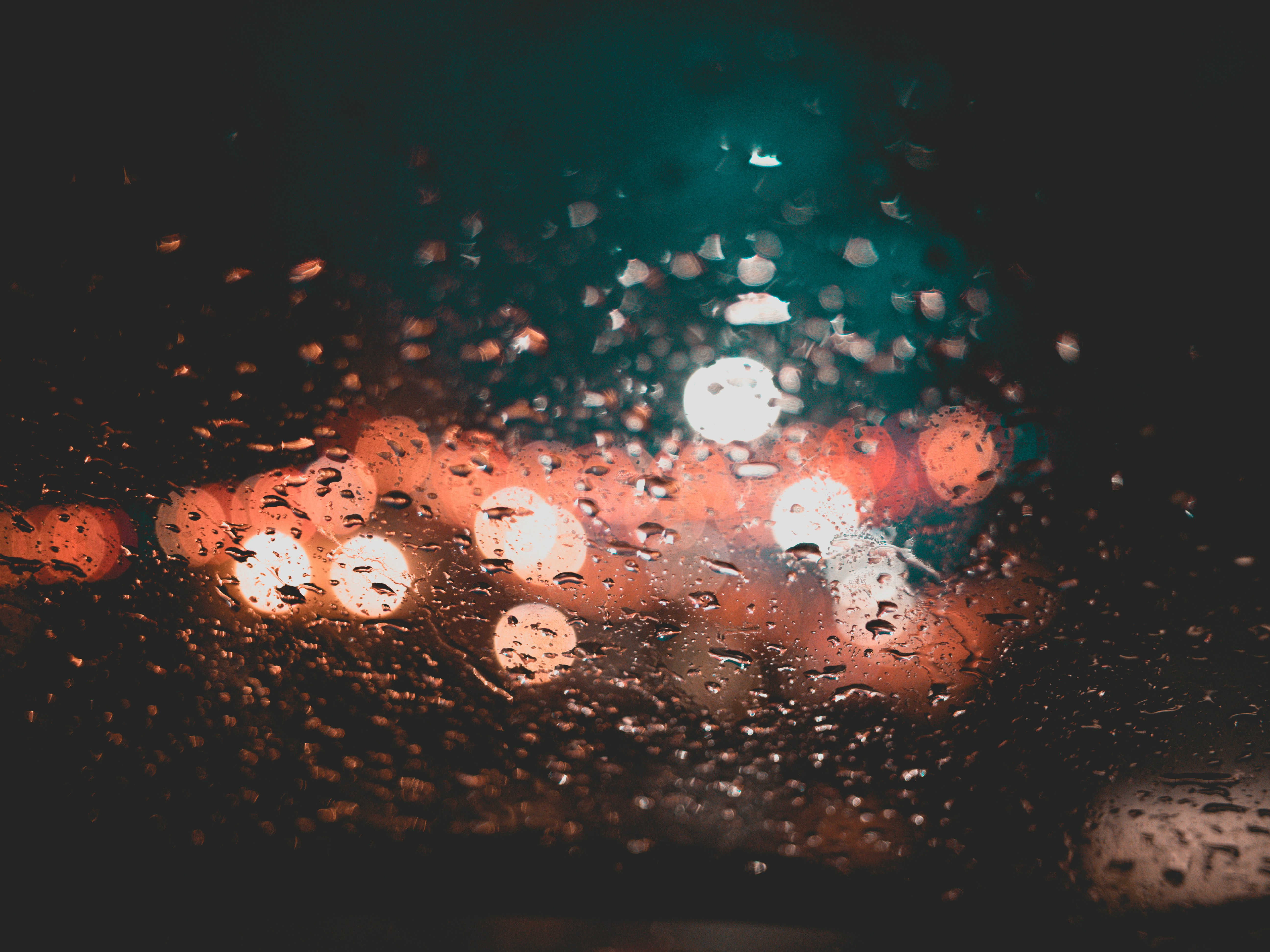 Photo by brunovdkraan