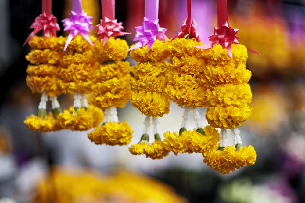 yellow and pink flower in tilt shift lens