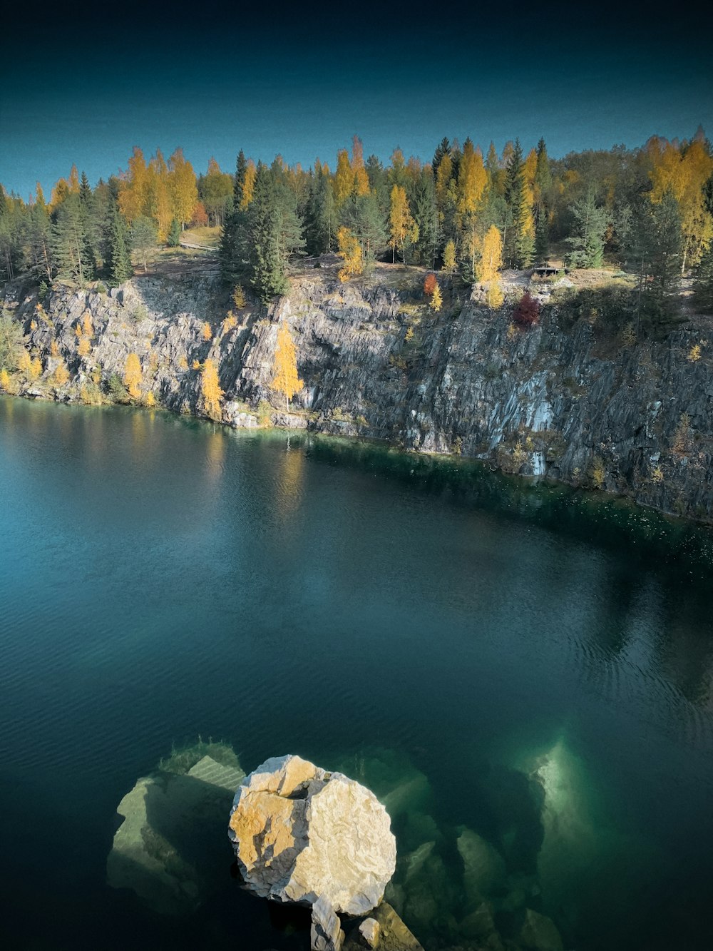 body of water near trees during daytime