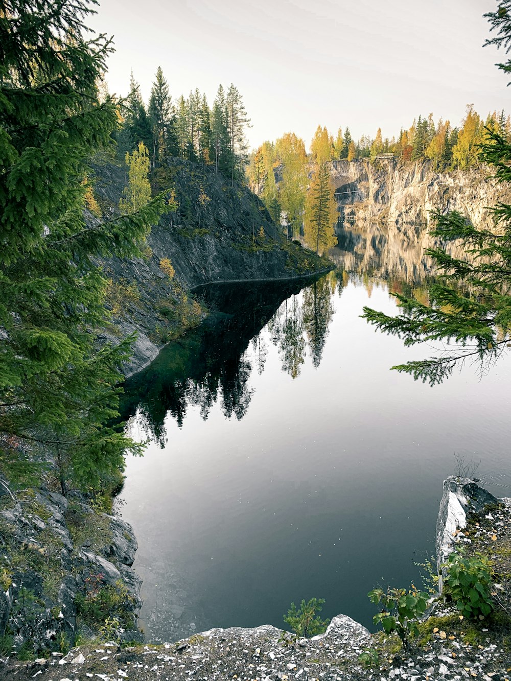 alberi verdi accanto allo specchio d'acqua durante il giorno