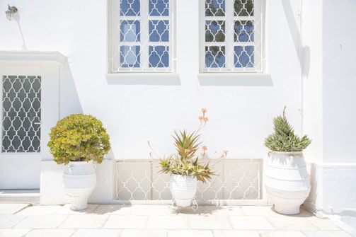 A bright, sunlit exterior of a white building features two windows with decorative metal grids. In front, there are three white planters with different green plants. The ground is paved with light stone tiles, and the overall aesthetic is clean and minimal.