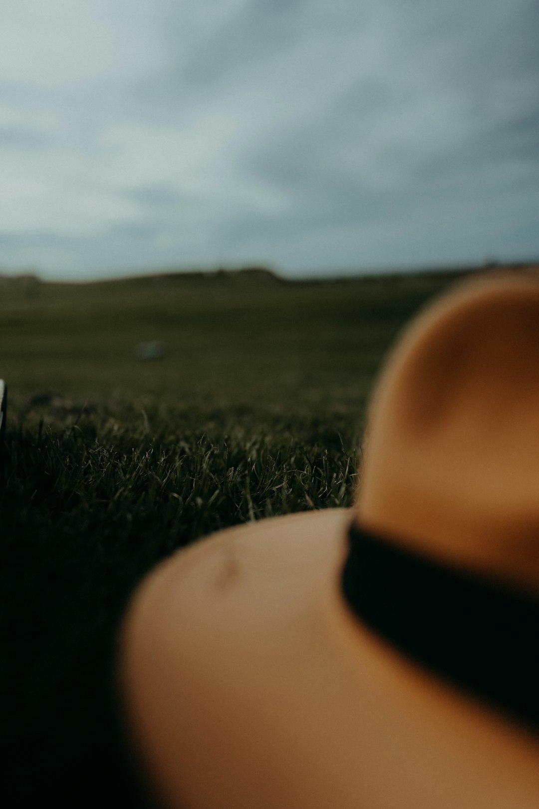 brown fedora hat on green grass field during daytime