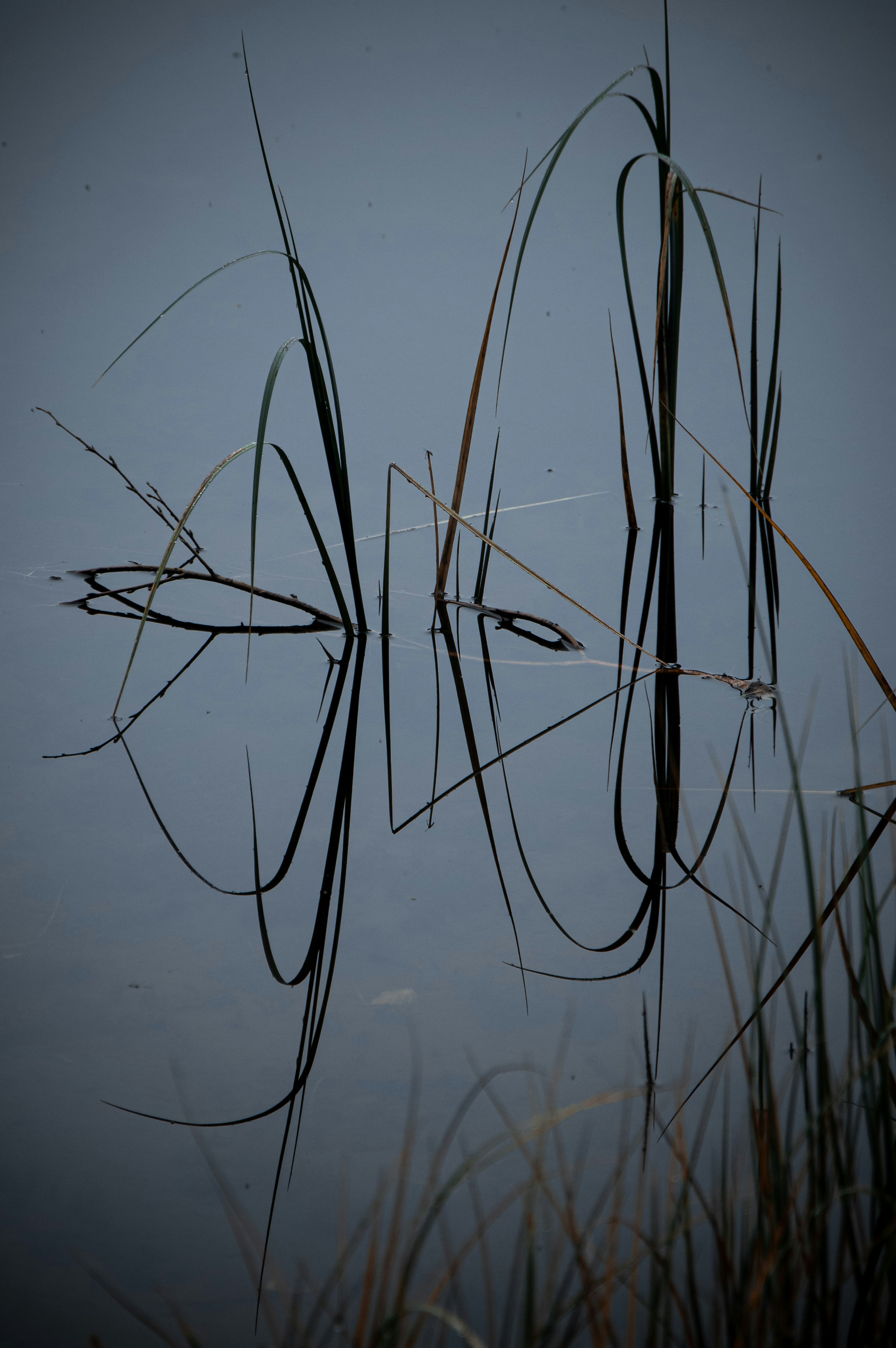 Photo by illuminous_design