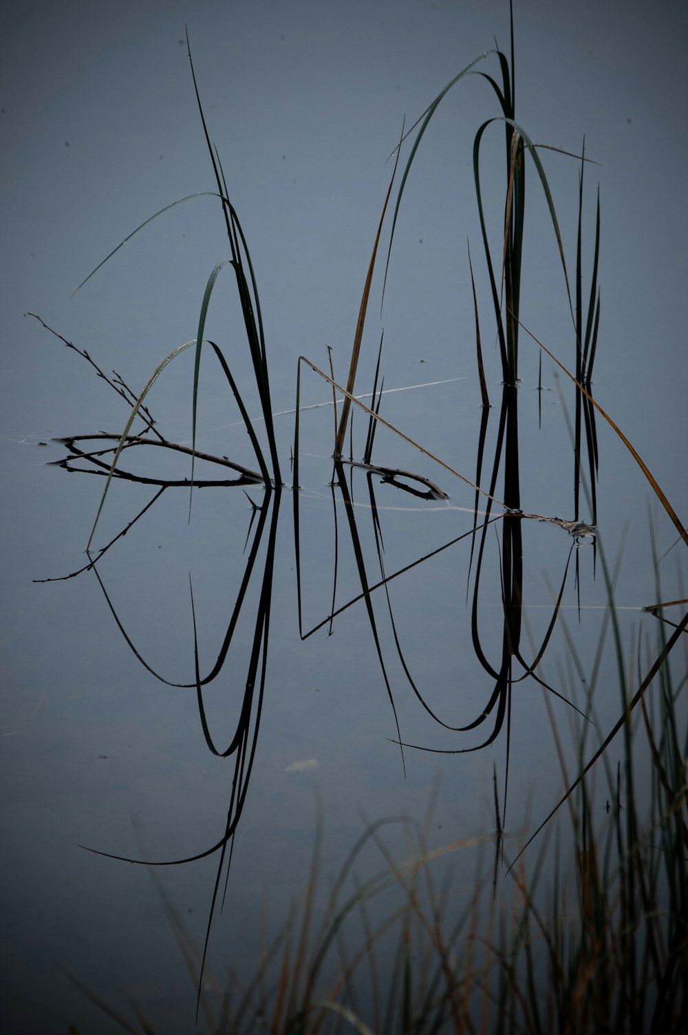 water droplets on gray surface