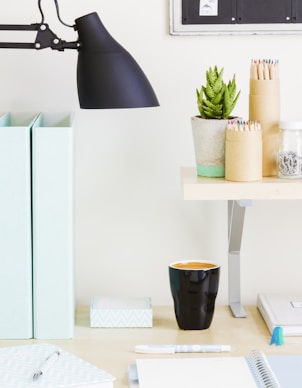 green cactus plant on white wooden shelf