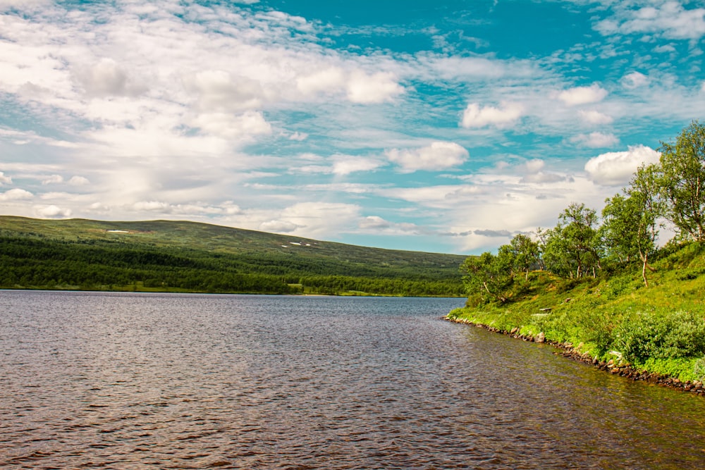 green trees beside river under blue sky during daytime