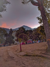 Tents are set up in a rustic campsite surrounded by tall trees. A signpost with arrows is visible, pointing in different directions. The background features a mountain silhouette against a colorful sky, suggesting either sunrise or sunset. Several people are scattered around the campsite area.