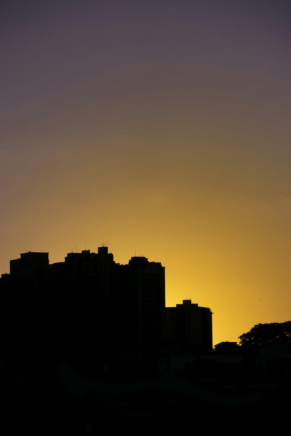 silhouette of city buildings during sunset