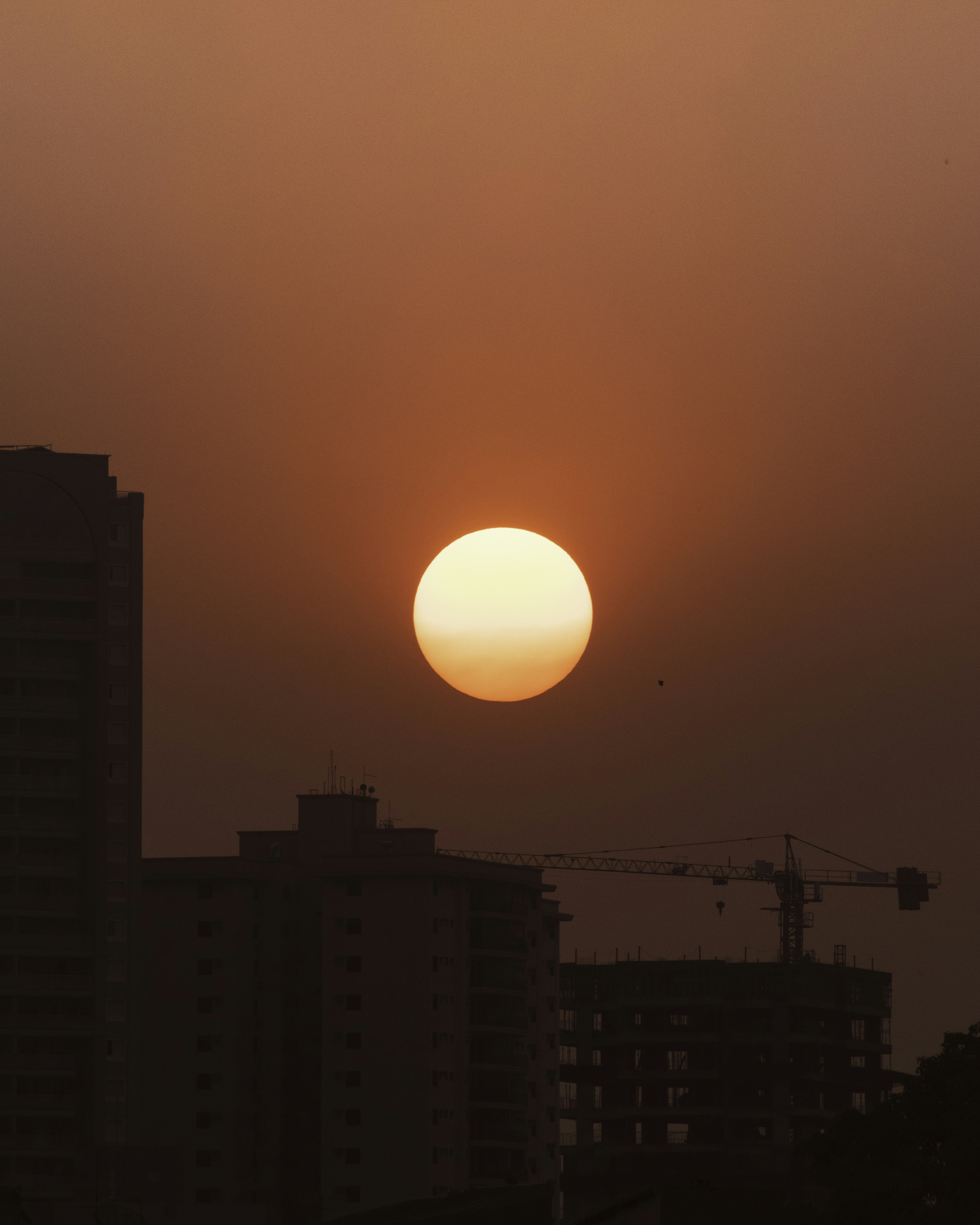 Photo by cassionunes