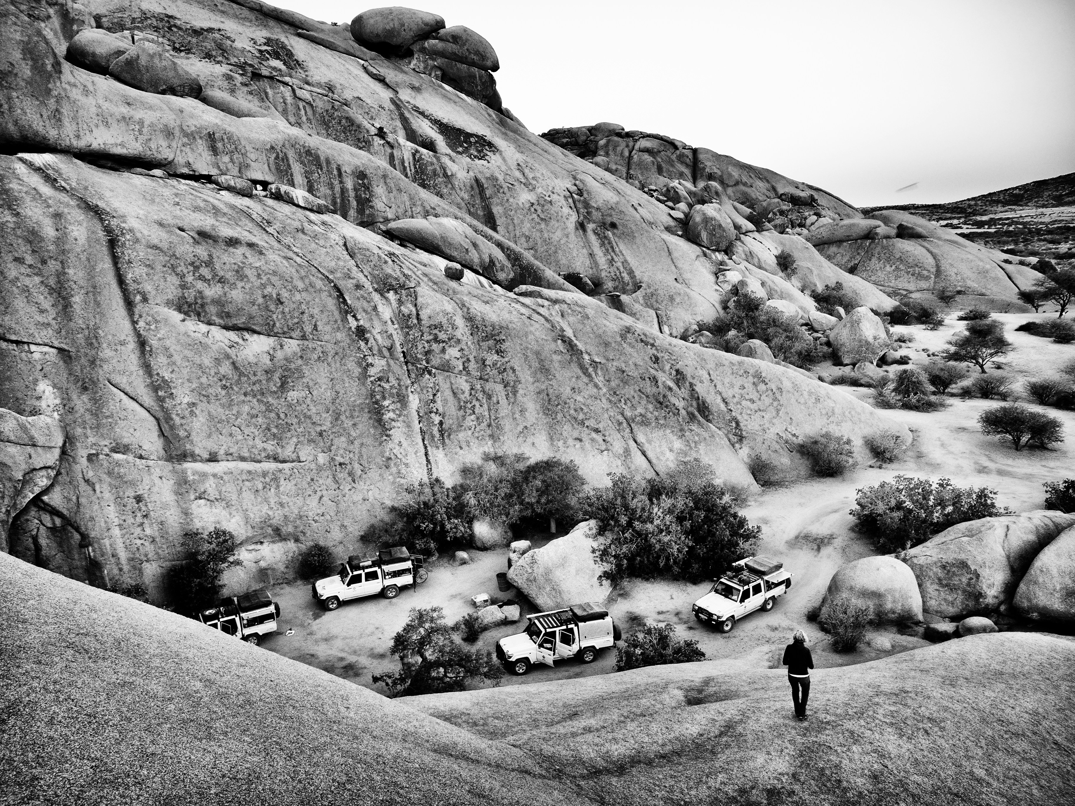 Graustufenfoto von Autos auf der Straße