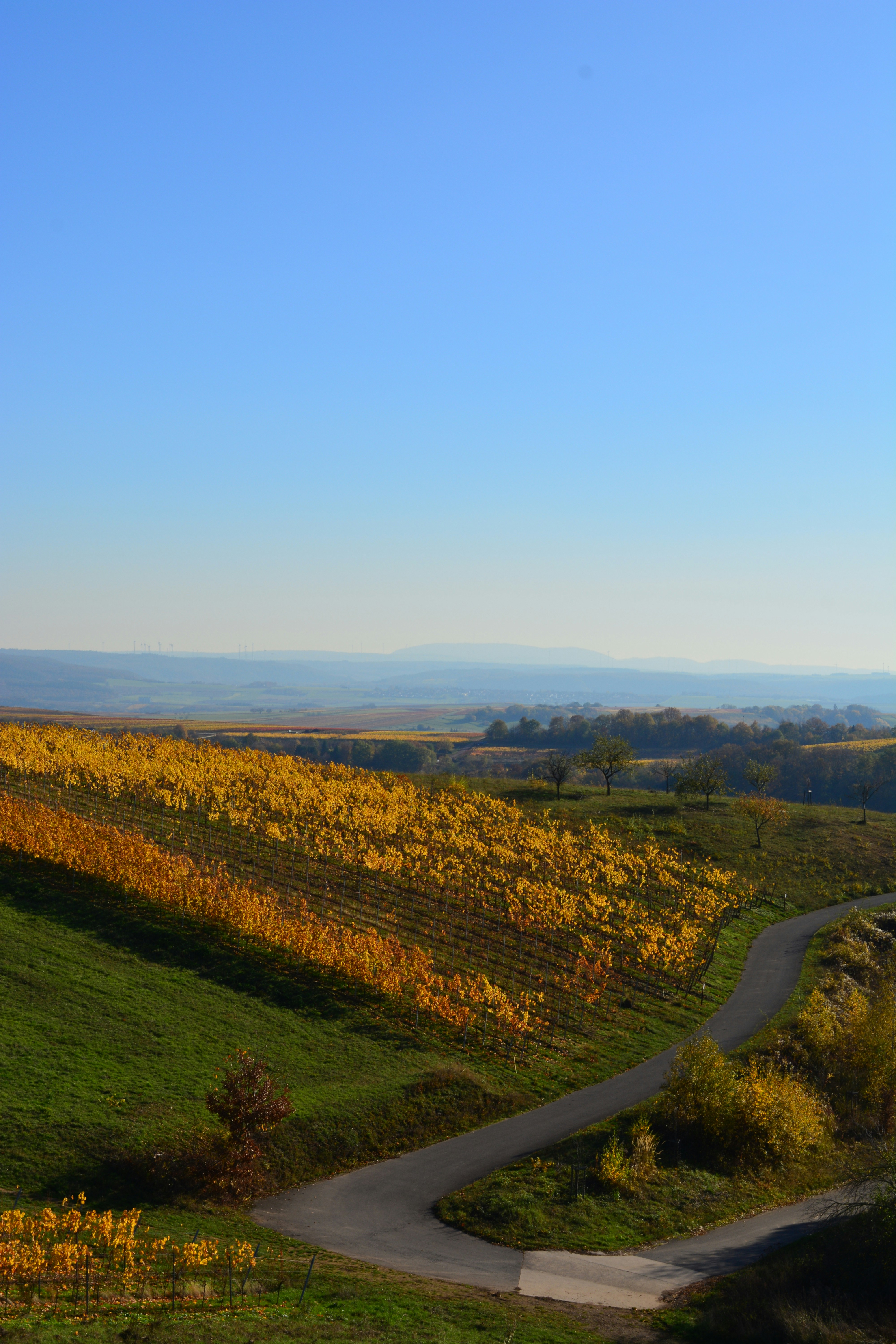 Photo by michael_ender