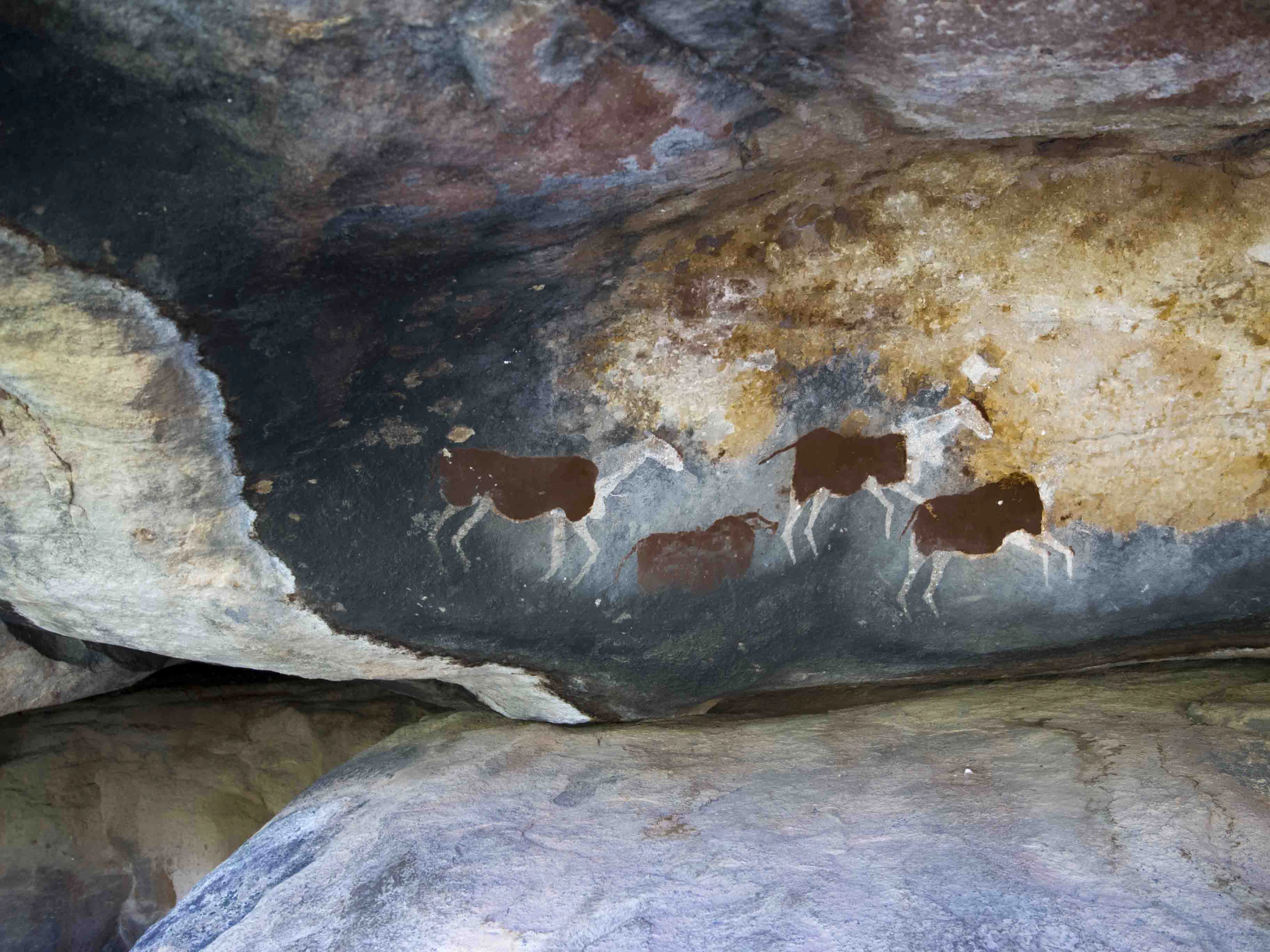 San rock paintings of red animal figures beneath a sandstone overhang, Cederberg