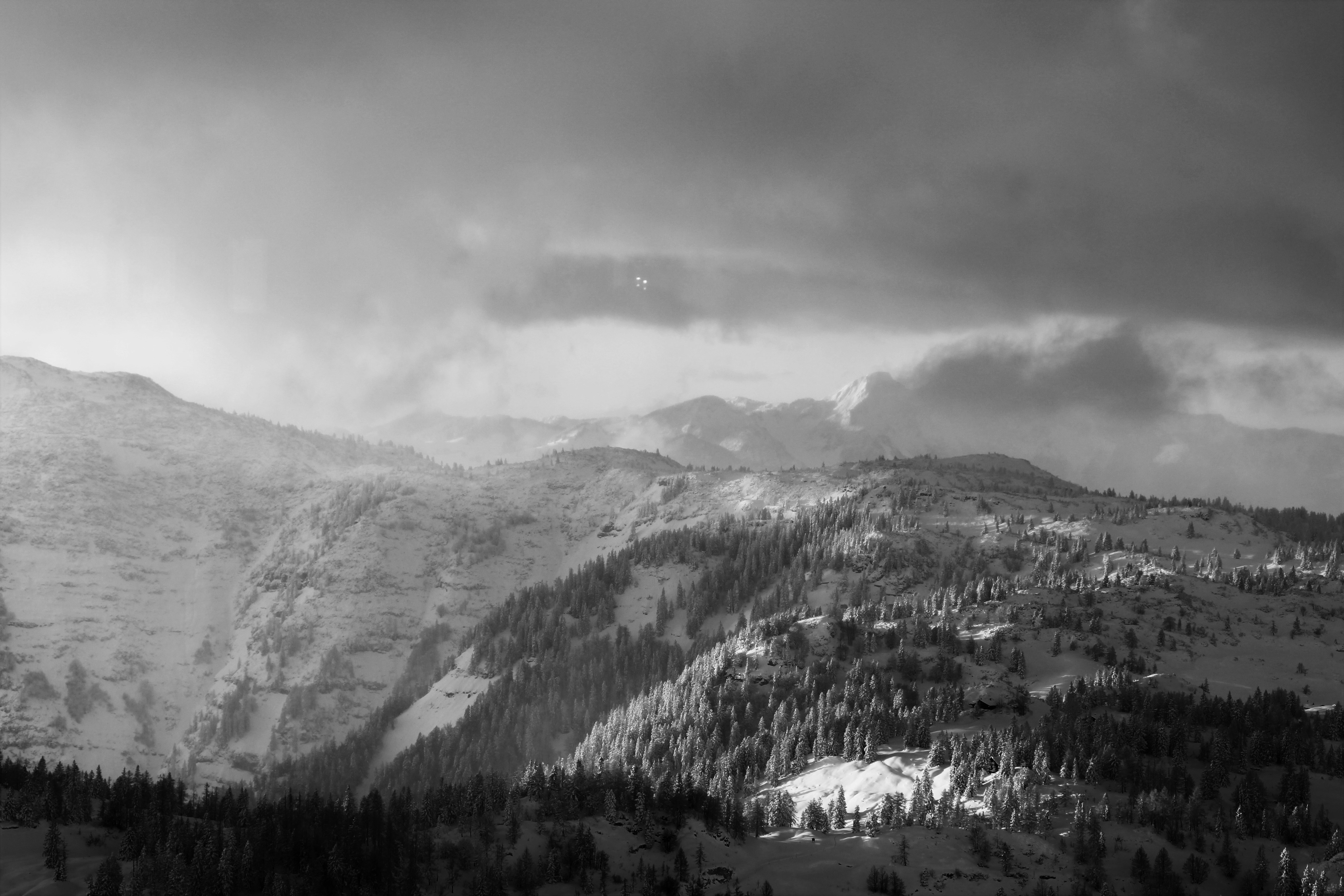 grayscale photo of trees and mountains