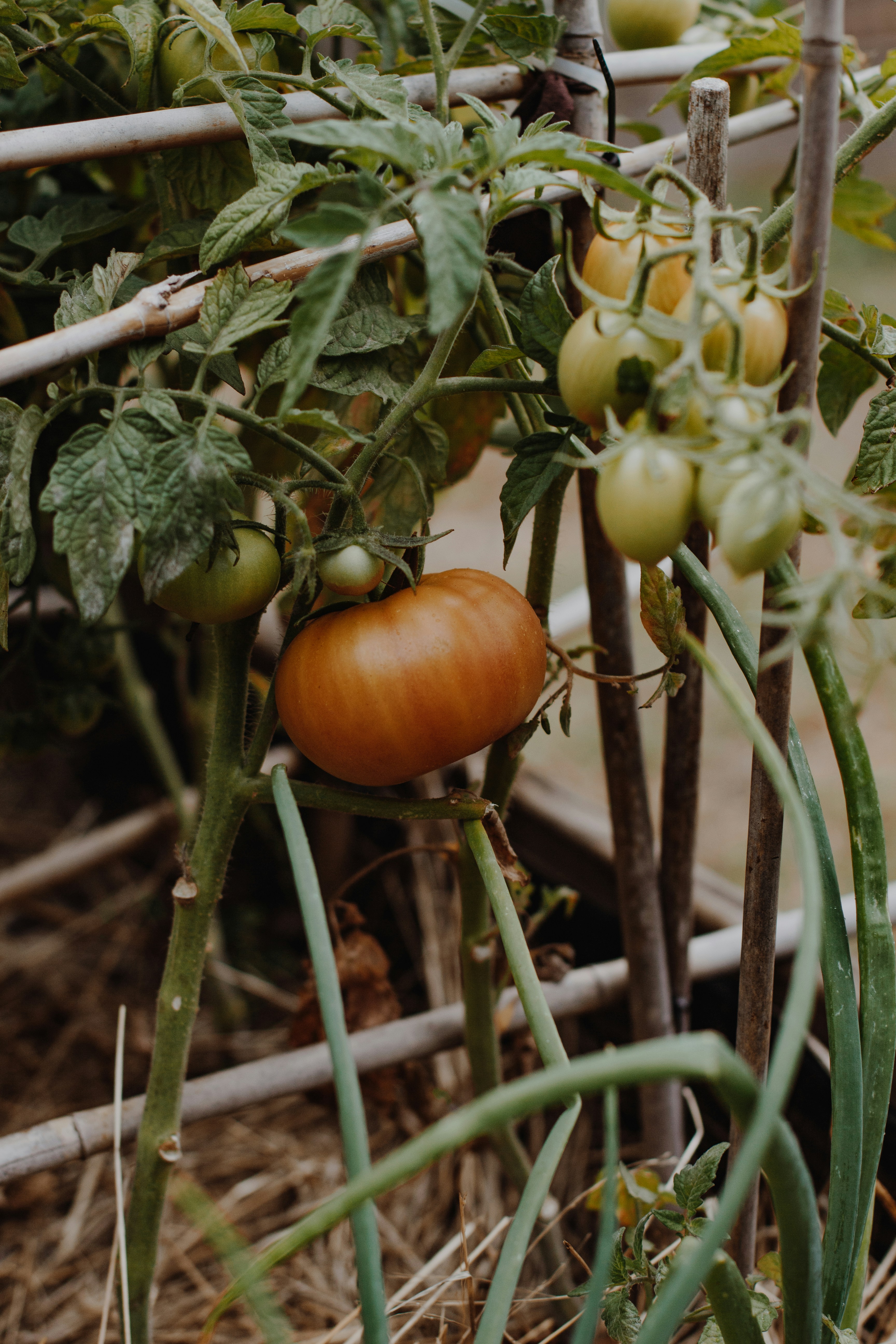 Photo by sincerelymedia