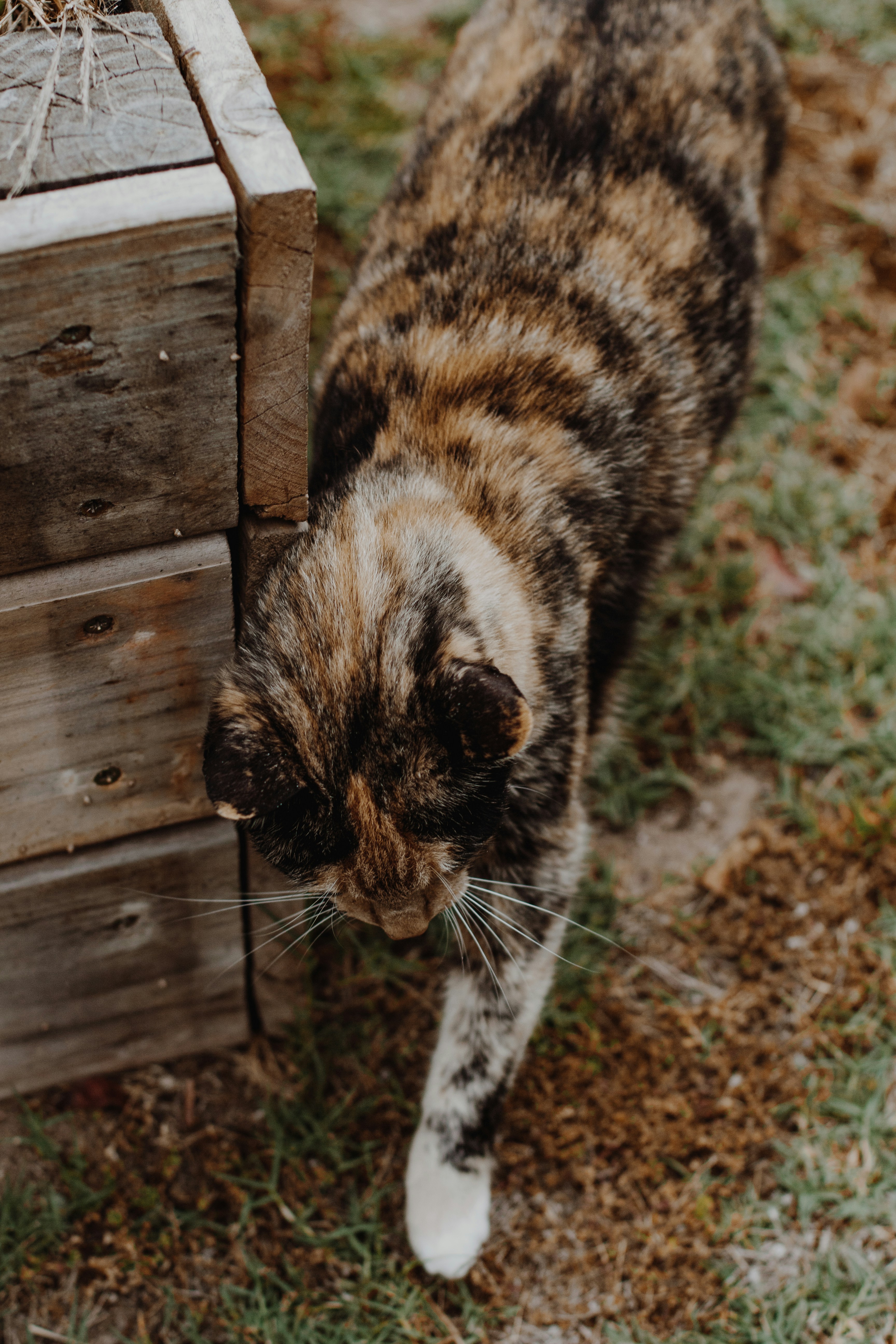 Photo by sincerelymedia