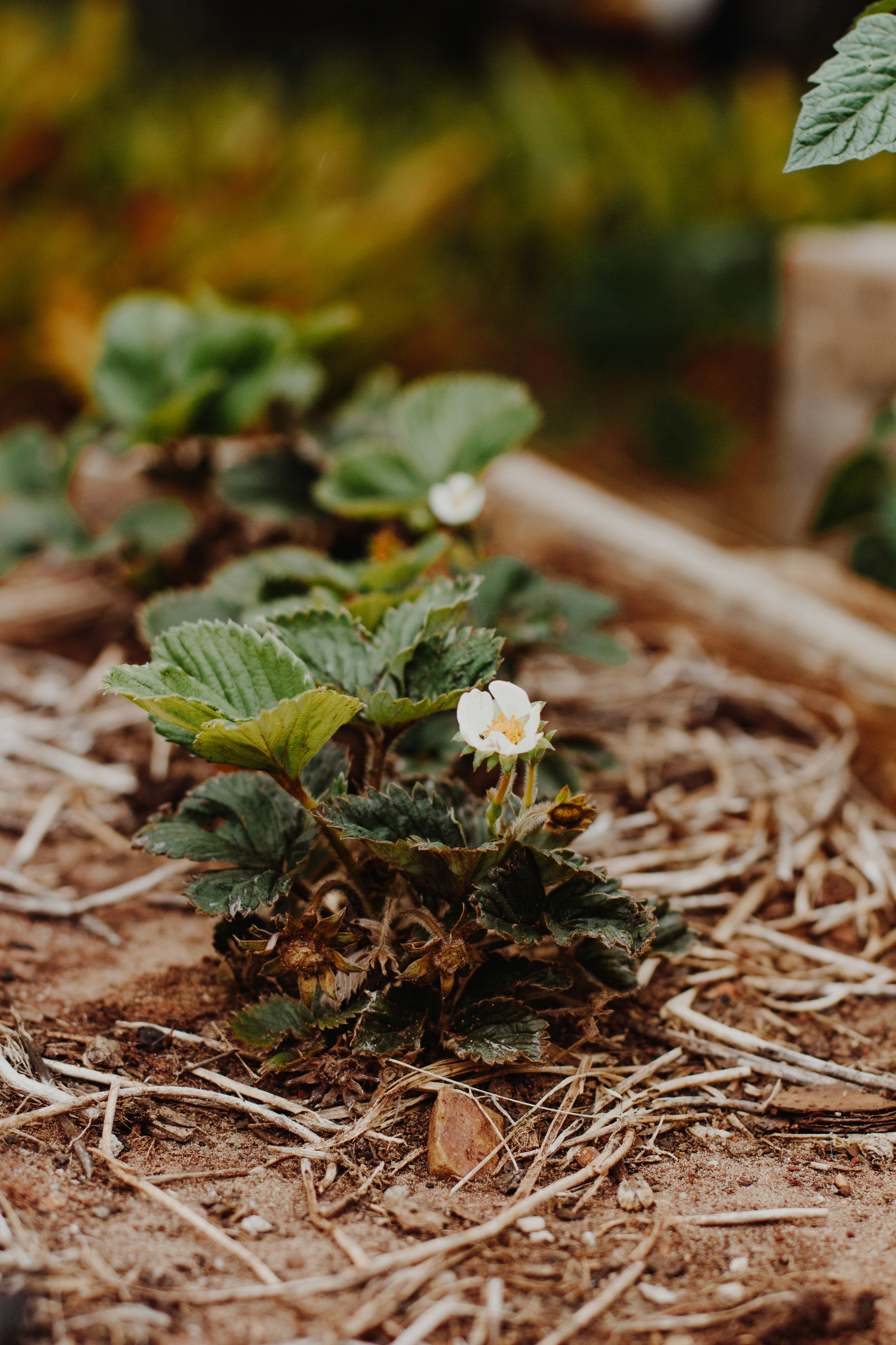 Photo by sincerelymedia