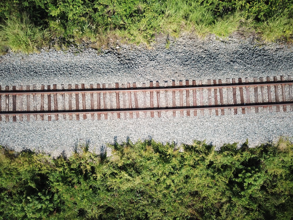 brown wooden fence on river during daytime