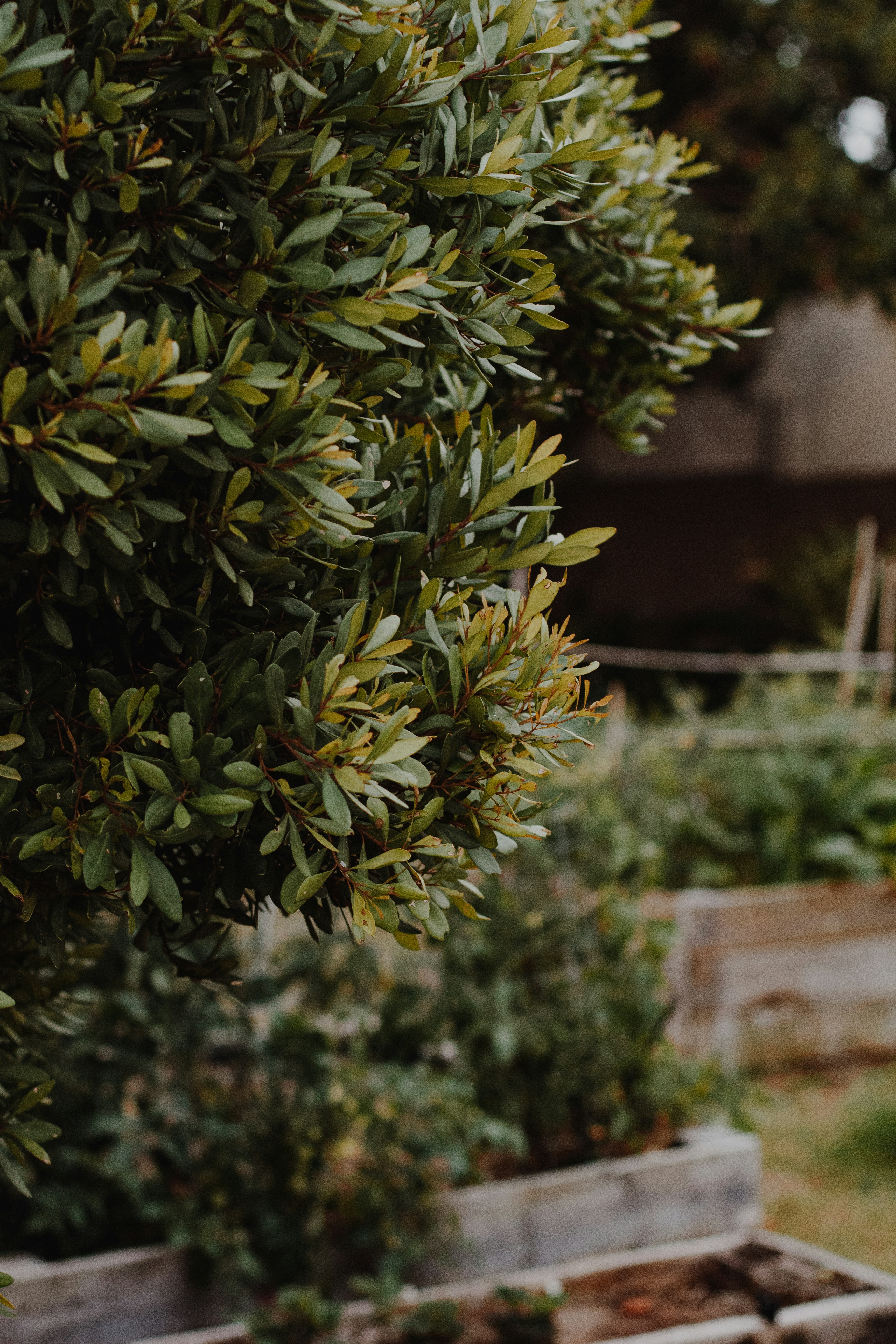 Photo by sincerelymedia