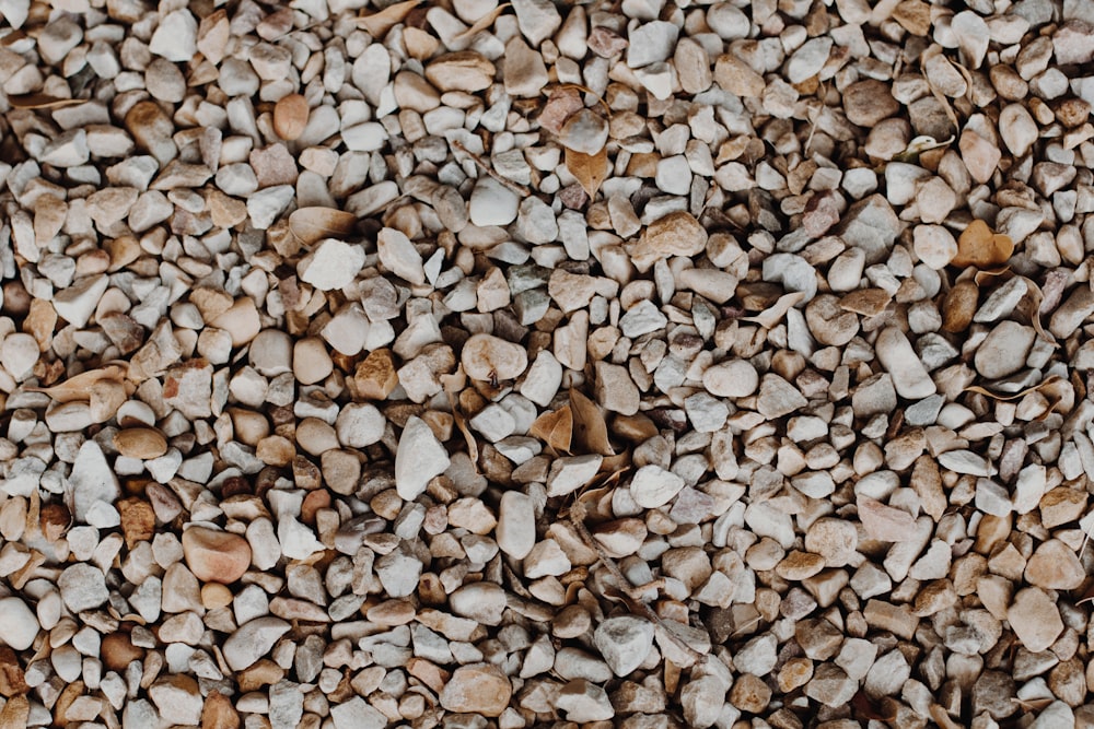 brown and white stones on ground