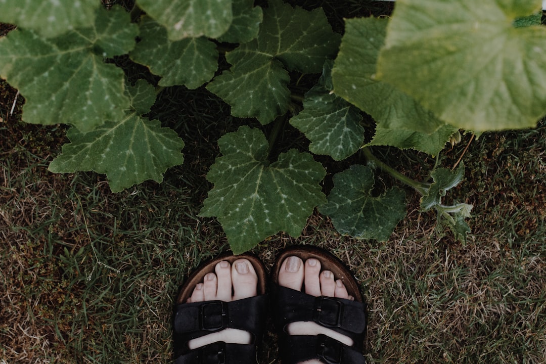 person wearing black leather sandals standing on green grass