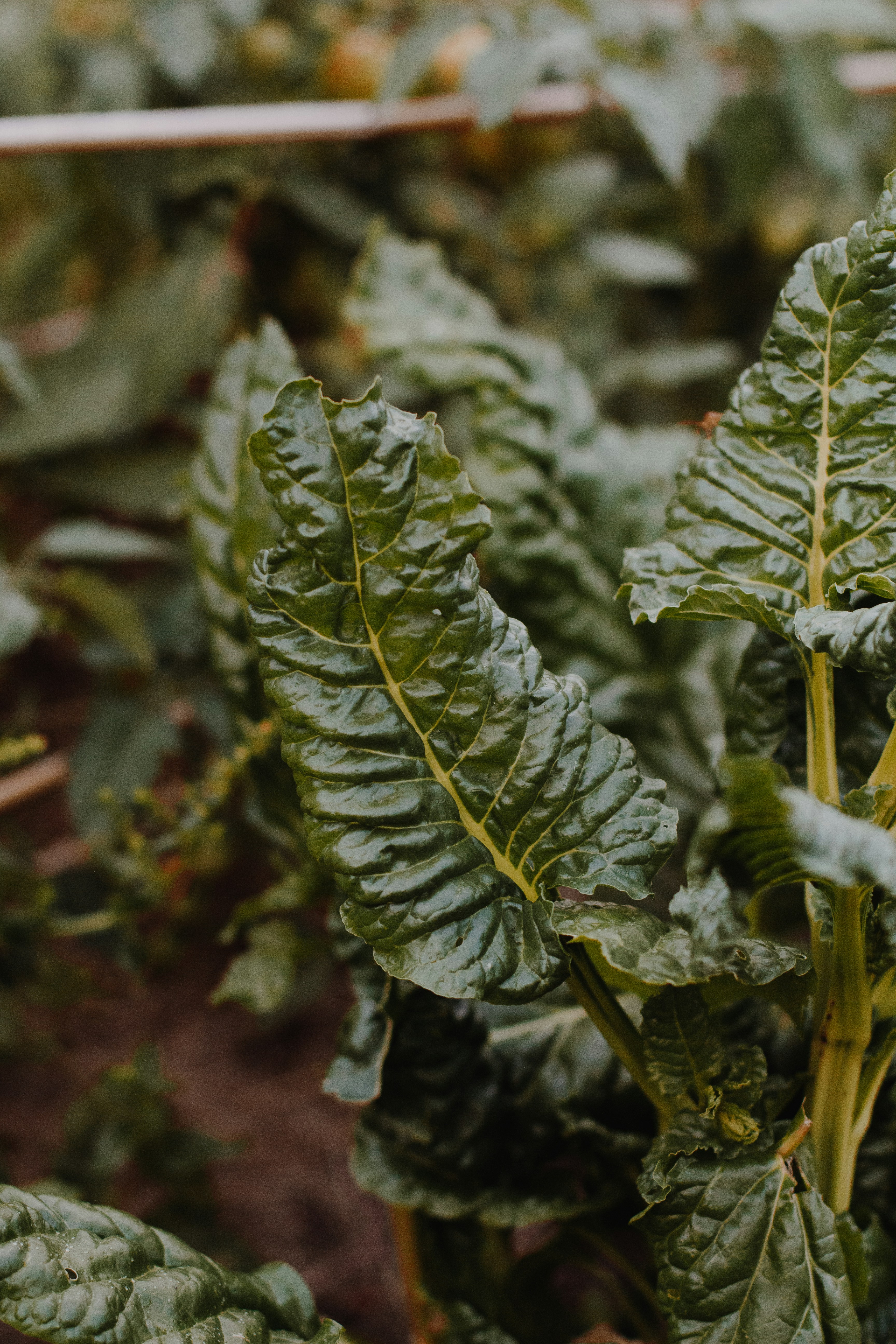 Photo by sincerelymedia