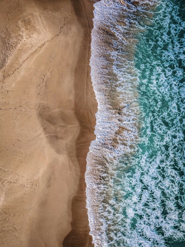 aerial view of beach during daytime
