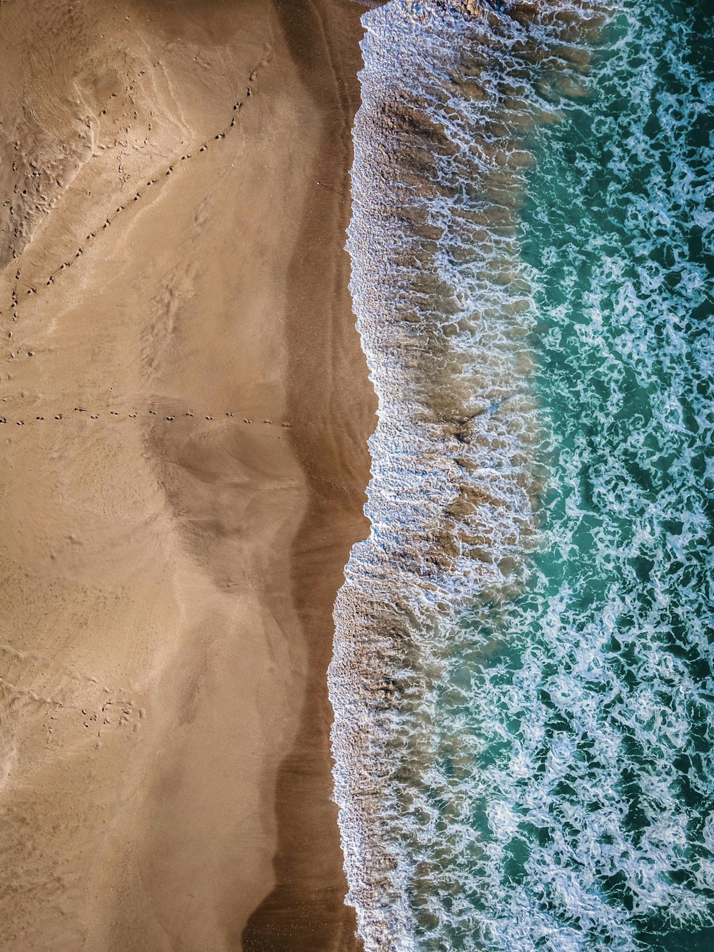 vista aérea da praia durante o dia