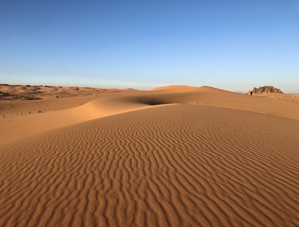 people walking on brown sand under blue sky during daytime