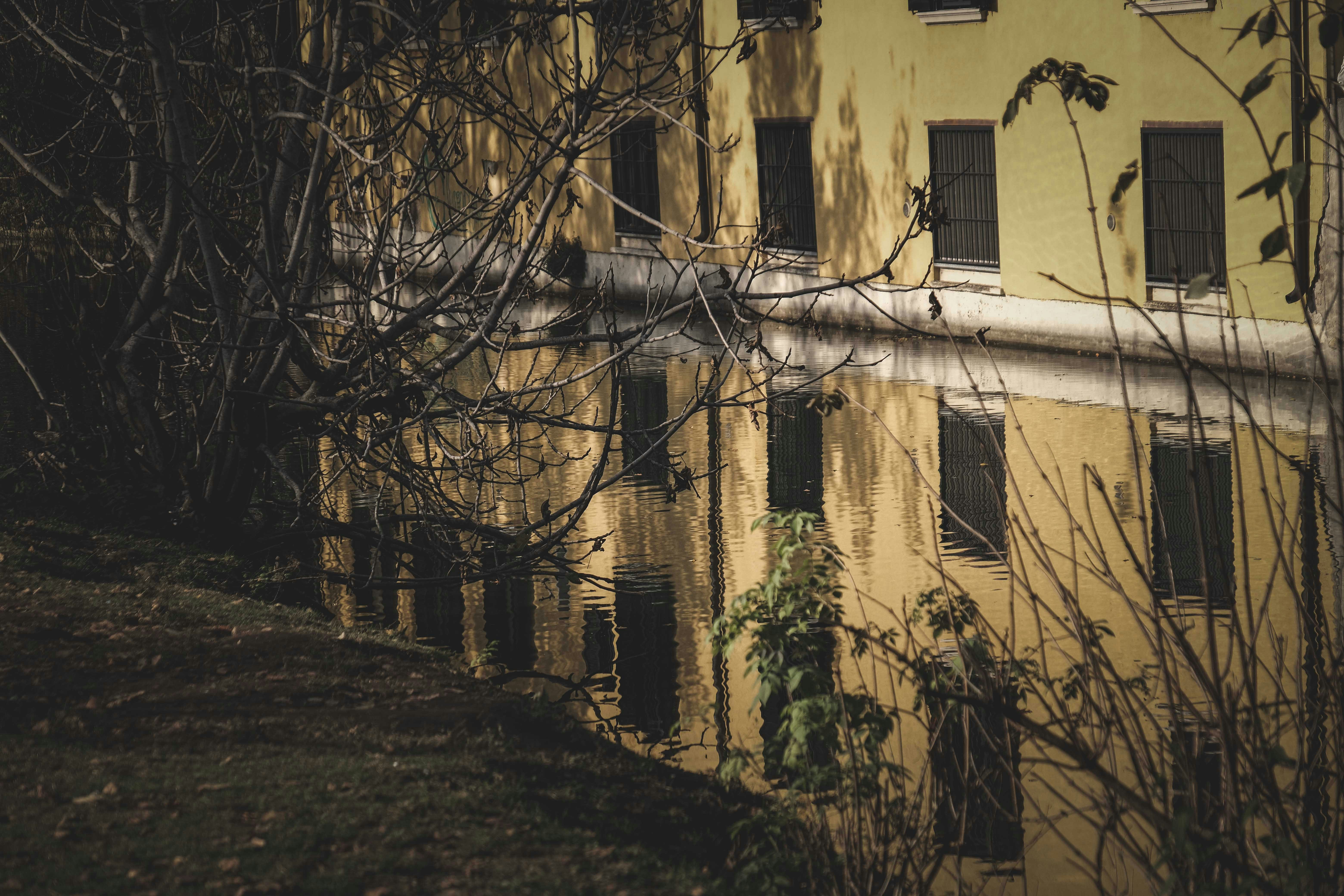 Photo by francesco_ungaro