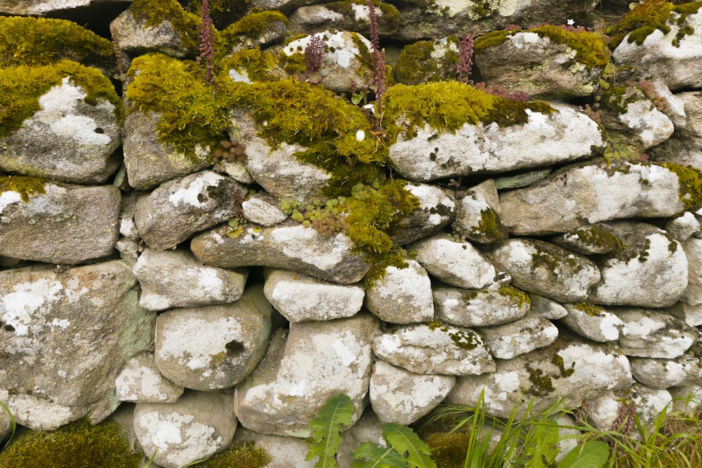 green moss on gray rocks