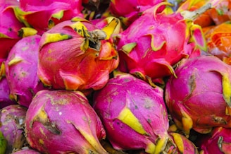 Close-up of handpicked dragon fruits with bright pink skin and green scales displayed on a rustic wooden crate.